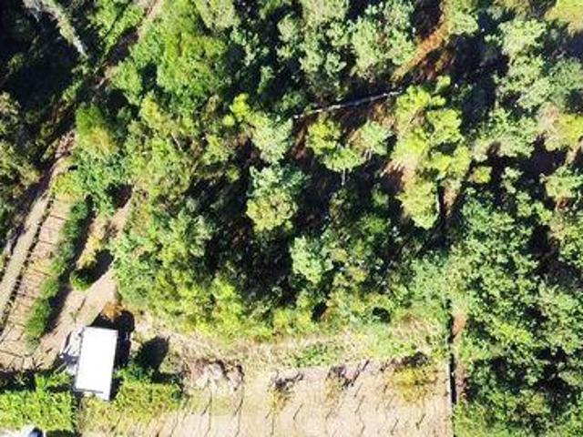 Terreno venda em Esposende, Braga