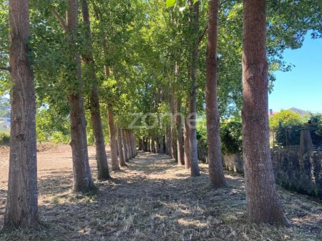 Terreno venda em Esposende, Braga