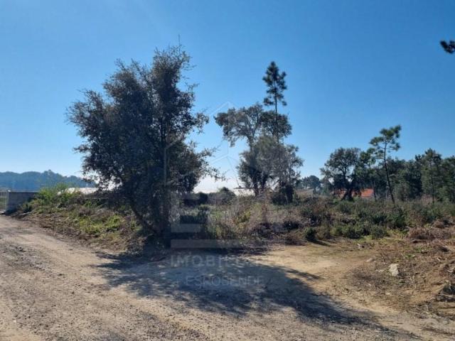 Terreno venda em Esposende, Braga