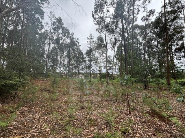 Terreno venda em Esposende