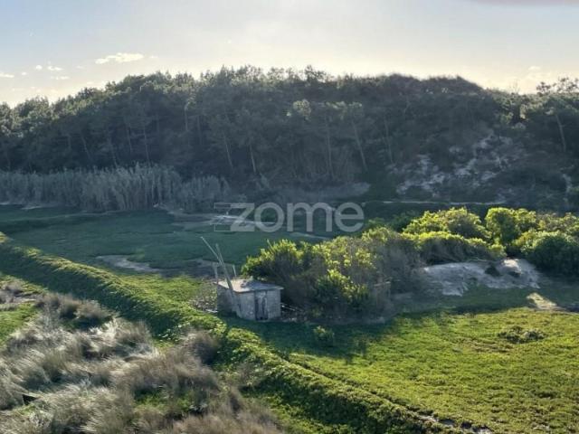 Terreno venda em Esposende, Braga