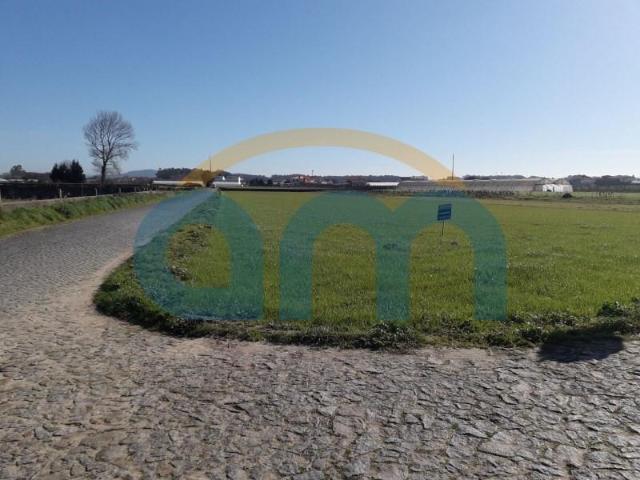 Terreno venda em Esposende, Braga