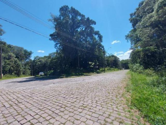 Terreno venda em Região Geográfica Imediata de Caxias do Sul, Caxias do Sul