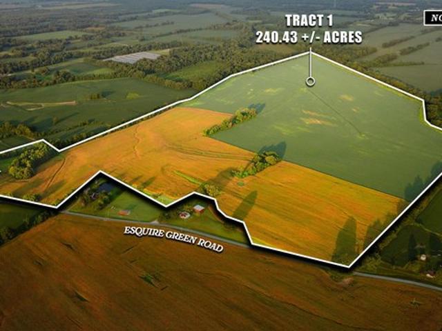 Land for sale in Dyer, West Tennessee