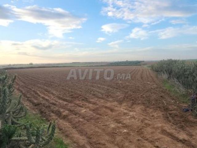 Propriété vente à Salé