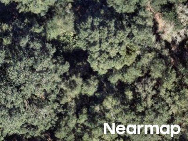Land for sale in Florida