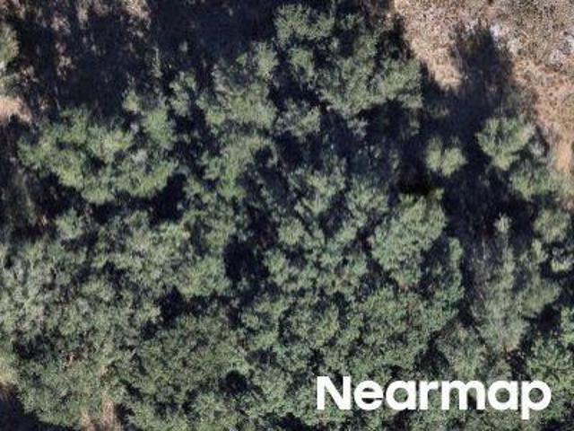 Land for sale in Florida