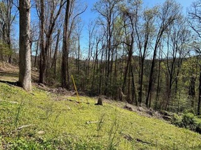Land for sale in Tennessee