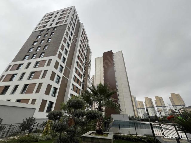 İstanbul, Fatih içerisinde satılık mülk