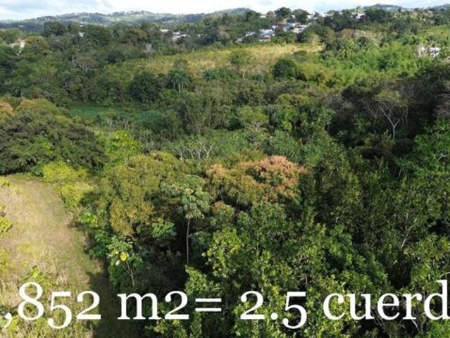 Land for sale
