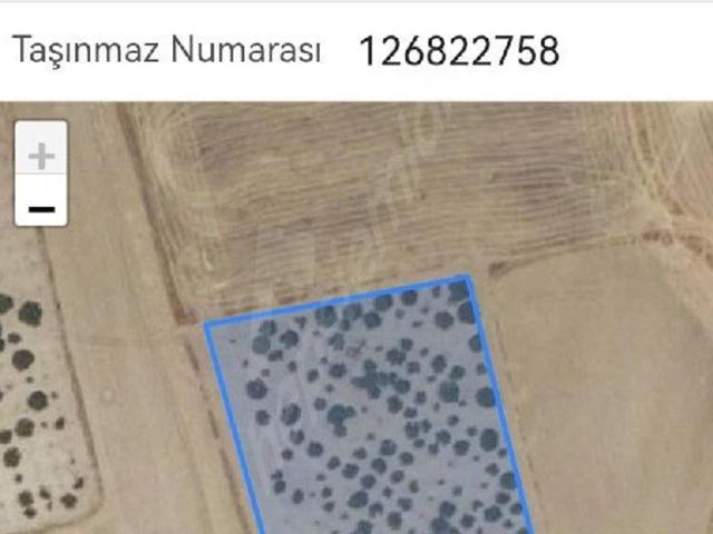 Şanlıurfa, Haliliye içerisinde satılık Arsa