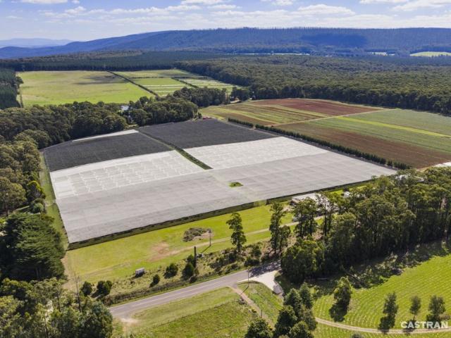 Property for sale in Kinglake West, Victoria