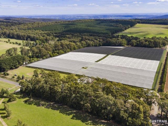 Cottage for sale in Kinglake West, Victoria