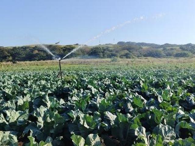 Farm for sale in La Mercy, Kwazulu-natal