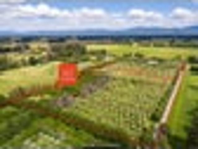 Land for sale in Greytown, Wellington
