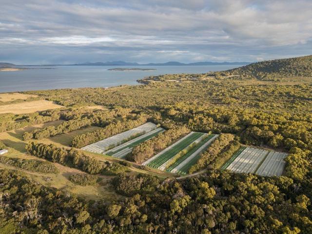 Cottage for sale in Lady Barron, Tasmania