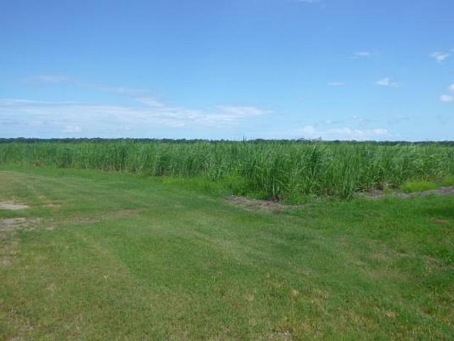 Property for sale in Hinchinbrook, Queensland