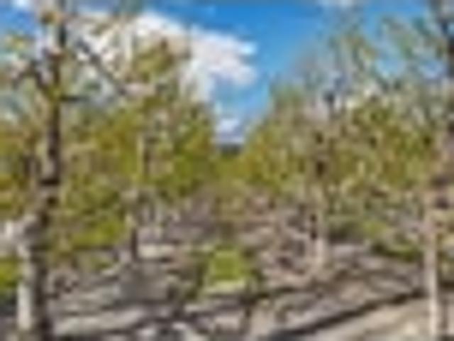 Land for sale in Otakou