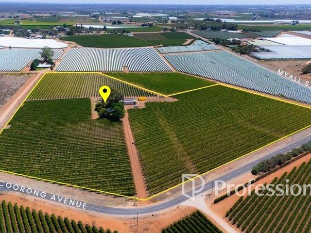 Cottage for sale in Red Cliffs, Victoria
