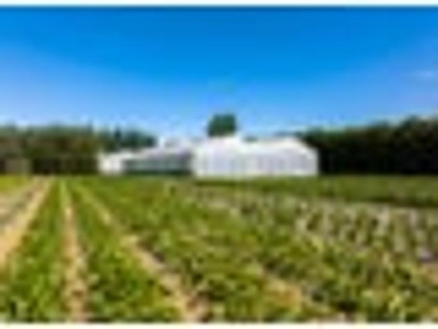 House for sale in Spring Creek, Marlborough