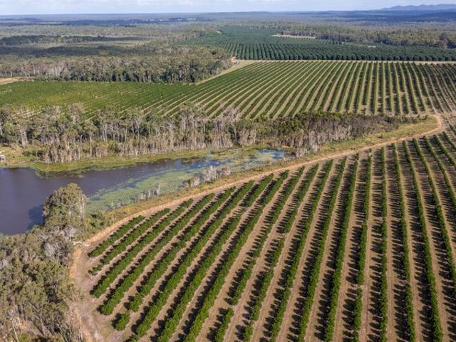 Property for sale in Mullett Creek, Queensland