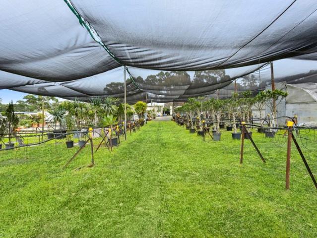 Property for rent in Sydney, New South Wales