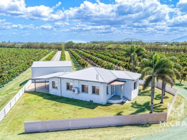 House for sale in Bowen, Whitsunday Regional