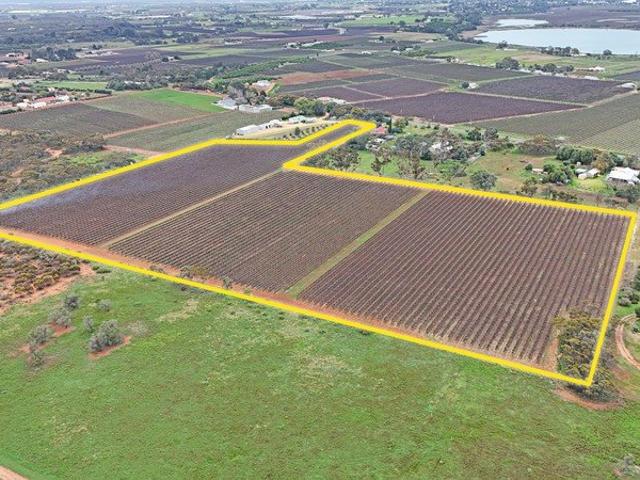Property for sale in Glossop, South Australia