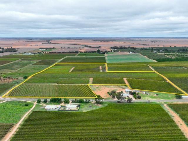 Property for sale in Loxton, South Australia