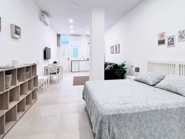 Estudio en alquiler en Cruz de Humilladero, Málaga-Costa del Sol