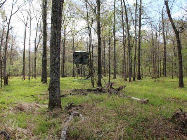 Land for sale in Tennessee