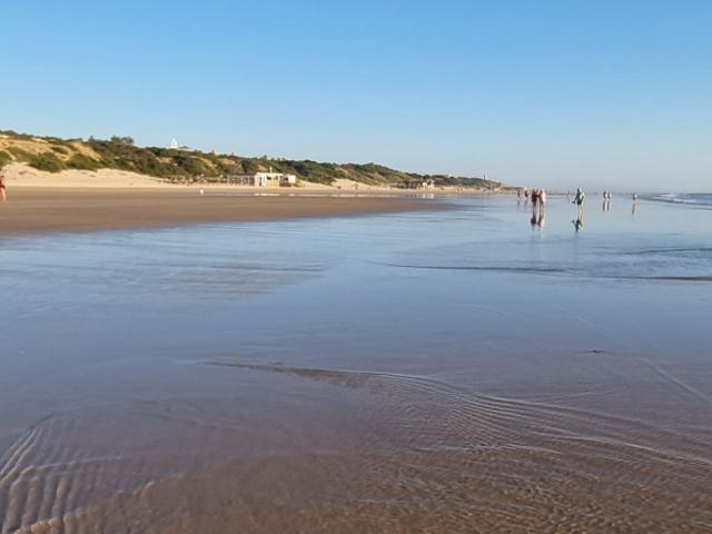 Apartamento en alquiler en Chiclana De La Frontera