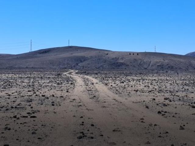 ESTANCIA MELANO