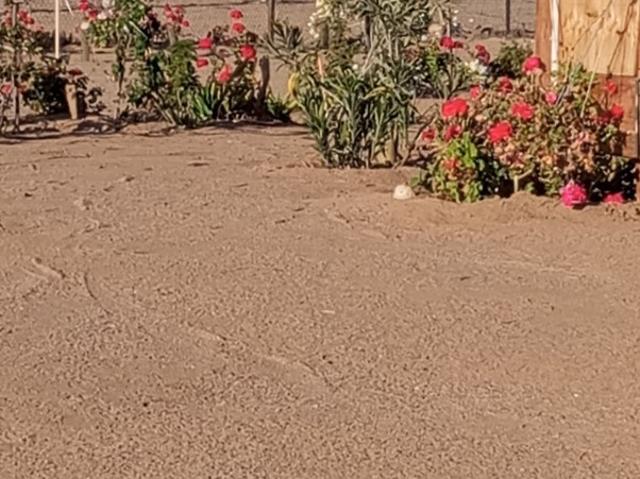 ESTANCIA MELANO