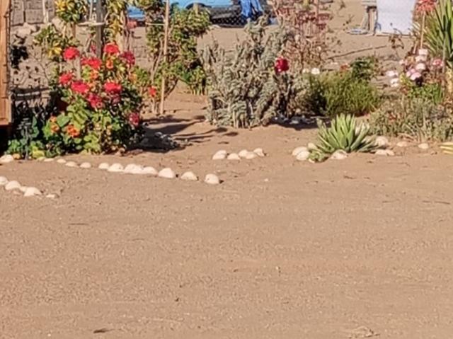 ESTANCIA MELANO