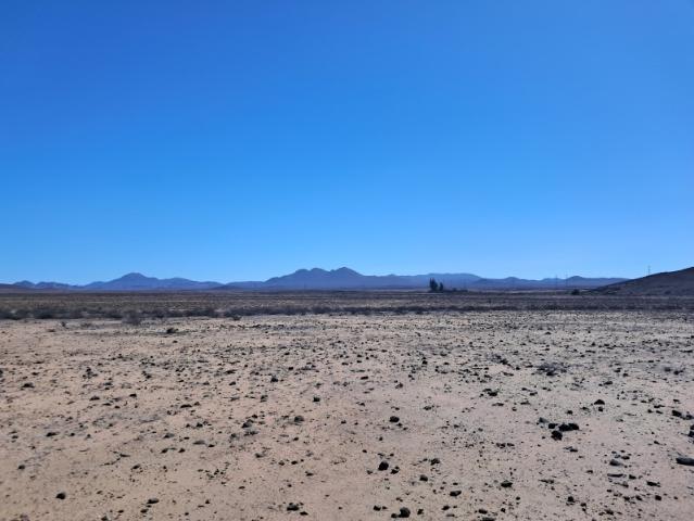 ESTANCIA MELANO