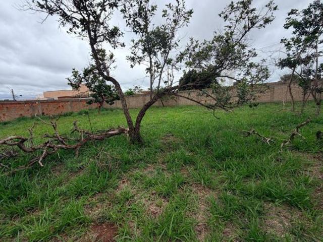 Terreno venda em Região Geográfica Imediata do Distrito Federal, Região Integrada de Desenvolvimento do Distrito Federal e Entorno
