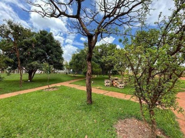 Terreno venda em Região Geográfica Imediata do Distrito Federal, Região Integrada de Desenvolvimento do Distrito Federal e Entorno