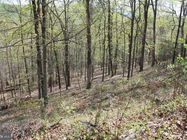 Land for sale in Virginia