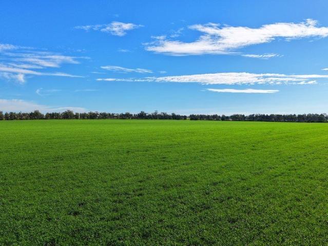 Property for sale in Cooks Myalls, New South Wales