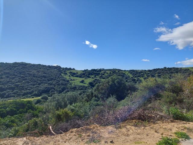 Casa en venta en La Alcaidesa, Campo de Gibraltar
