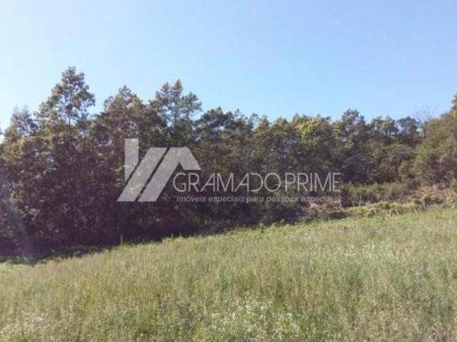 Sítio e chácara venda em Gramado