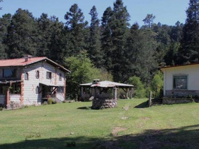 ESTILO CAMPIÑA FRANCESA