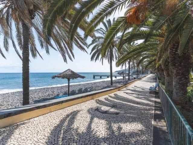 Apartamento alugar em Levadas, Santa Cruz