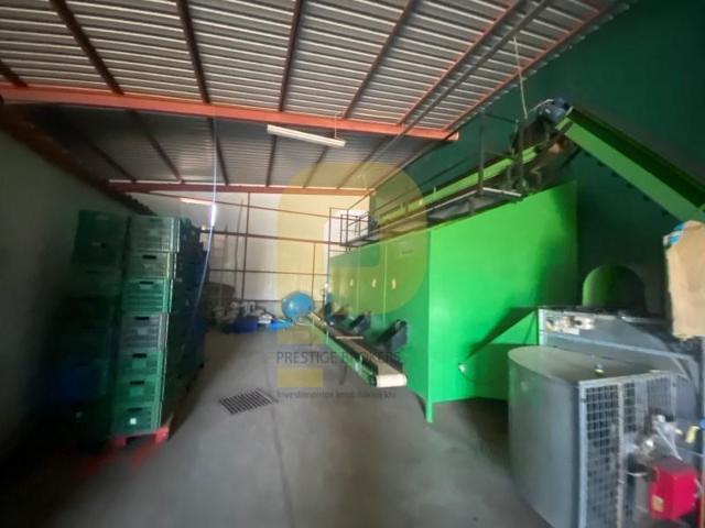 Terreno venda em Estremoz