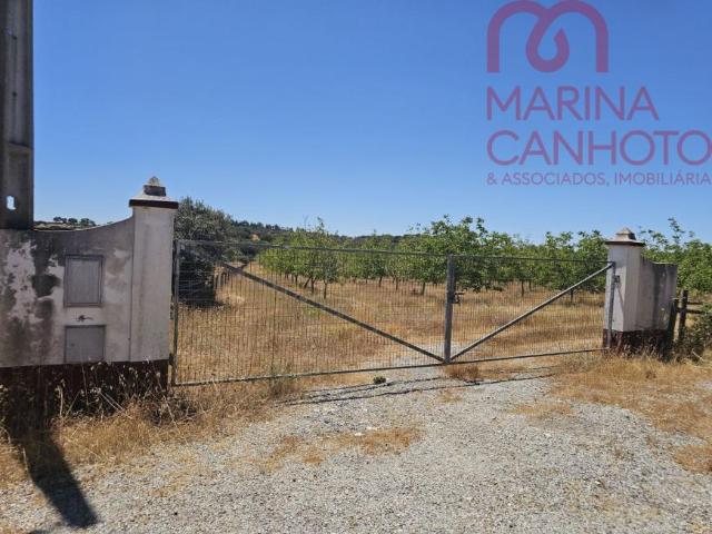 Terreno venda em Estremoz, Évora