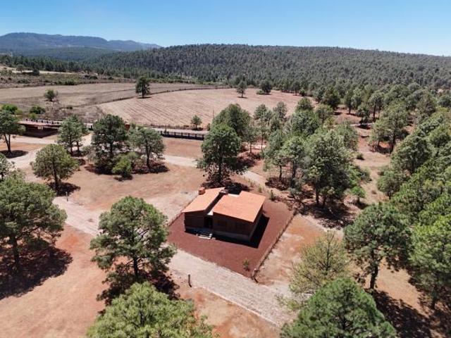 Estrena Moderna Cabaña en Atemajac de Brizuela, zona de Tapalpa