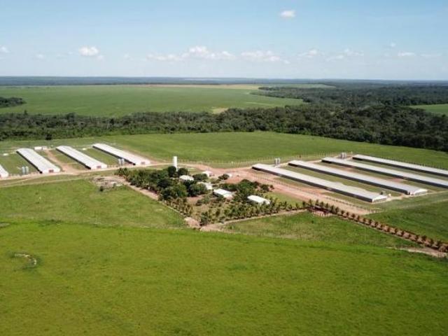 Sítio e chácara venda em Região Geográfica Imediata de Sorriso, Sorriso