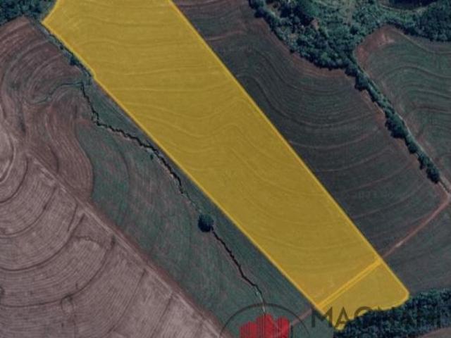 Sítio e chácara venda em Região Geográfica Imediata de Maringá, Floresta