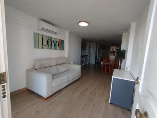 Estudio en alquiler en Albufereta, l'Alacantí